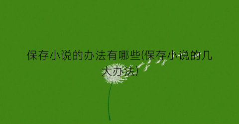 保存小说的办法有哪些(保存小说的几大办法)