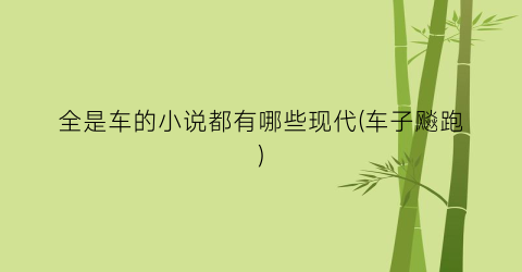 全是车的小说都有哪些现代(车子飚跑)