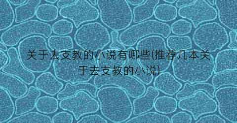 关于去支教的小说有哪些(推荐几本关于去支教的小说)