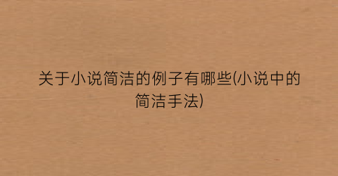 关于小说简洁的例子有哪些(小说中的简洁手法)