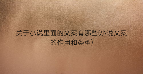 关于小说里面的文案有哪些(小说文案的作用和类型)
