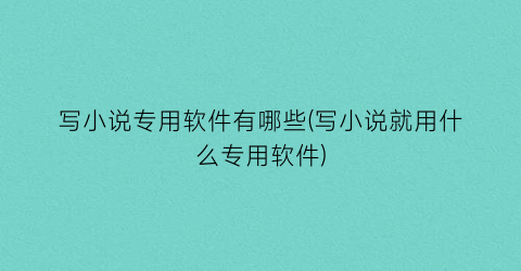 写小说专用软件有哪些(写小说就用什么专用软件)