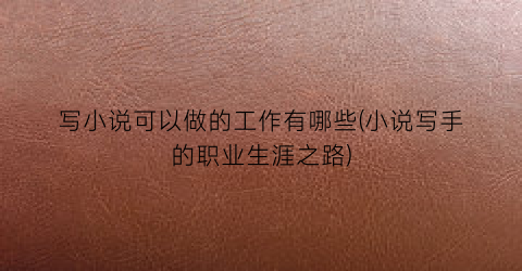 写小说可以做的工作有哪些(小说写手的职业生涯之路)