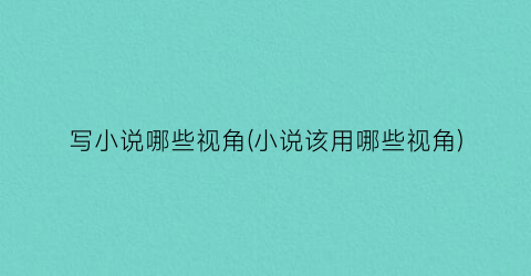 写小说哪些视角(小说该用哪些视角)