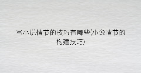 写小说情节的技巧有哪些(小说情节的构建技巧)