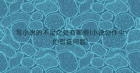 写小说的不足之处有哪些(小说创作中的瑕疵问题)
