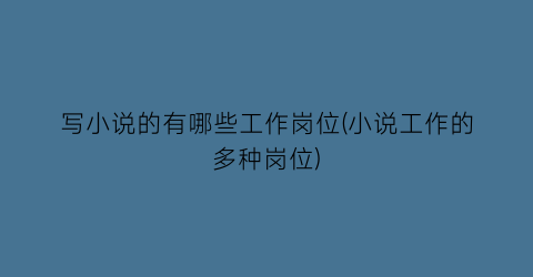 写小说的有哪些工作岗位(小说工作的多种岗位)