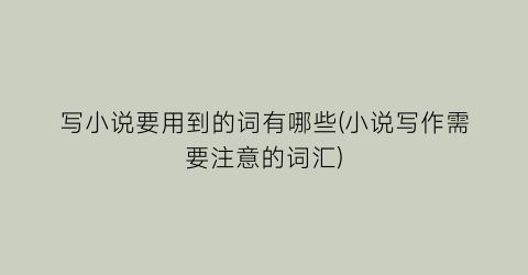 写小说要用到的词有哪些(小说写作需要注意的词汇)