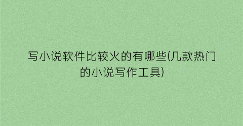 写小说软件比较火的有哪些(几款热门的小说写作工具)