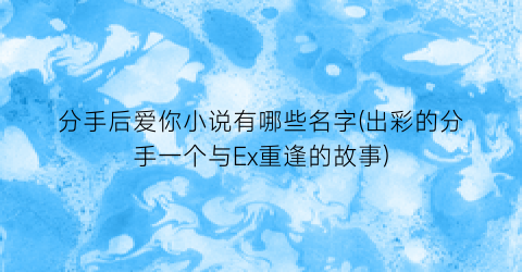 分手后爱你小说有哪些名字(出彩的分手一个与Ex重逢的故事)