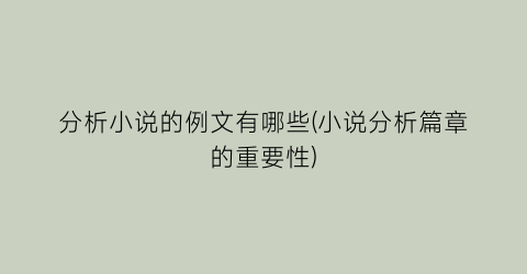 分析小说的例文有哪些(小说分析篇章的重要性)