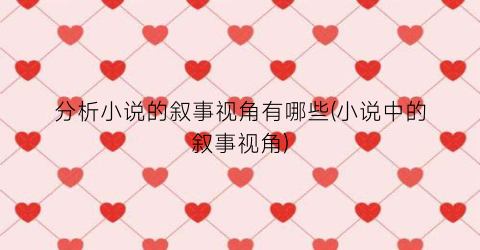 分析小说的叙事视角有哪些(小说中的叙事视角)