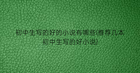 初中生写的好的小说有哪些(推荐几本初中生写的好小说)