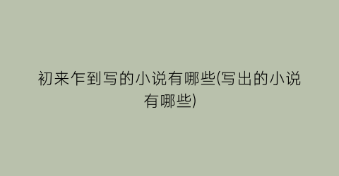 初来乍到写的小说有哪些(写出的小说有哪些)