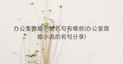 办公室隐婚小说名句有哪些(办公室隐婚小说的名句分享)