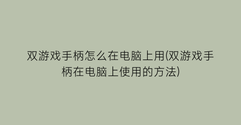 “双游戏手柄怎么在电脑上用(双游戏手柄在电脑上使用的方法)