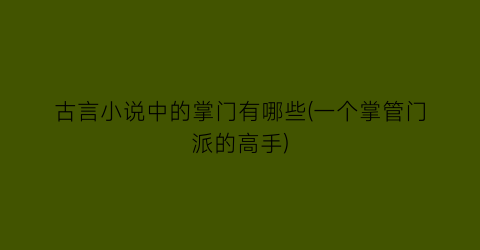 古言小说中的掌门有哪些(一个掌管门派的高手)