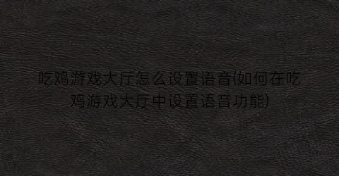 “吃鸡游戏大厅怎么设置语音(如何在吃鸡游戏大厅中设置语音功能)