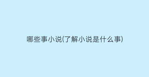哪些事小说(了解小说是什么事)