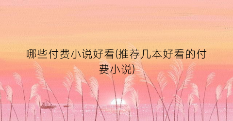 哪些付费小说好看(推荐几本好看的付费小说)