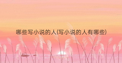 哪些写小说的人(写小说的人有哪些)