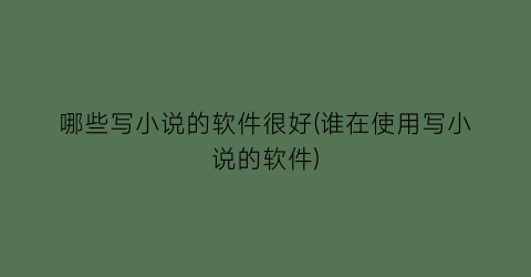 哪些写小说的软件很好(谁在使用写小说的软件)