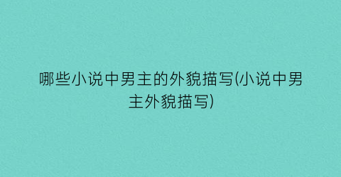 哪些小说中男主的外貌描写(小说中男主外貌描写)