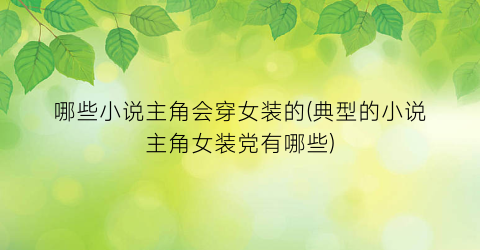 哪些小说主角会穿女装的(典型的小说主角女装党有哪些)