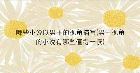 哪些小说以男主的视角描写(男主视角的小说有哪些值得一读)