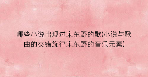 哪些小说出现过宋东野的歌(小说与歌曲的交错旋律宋东野的音乐元素)