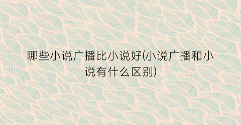 哪些小说广播比小说好(小说广播和小说有什么区别)