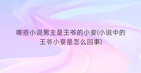 哪些小说男主是王爷的小妾(小说中的王爷小妾是怎么回事)