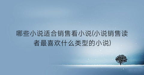哪些小说适合销售看小说(小说销售读者最喜欢什么类型的小说)