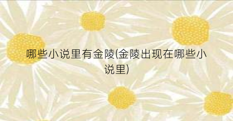 哪些小说里有金陵(金陵出现在哪些小说里)