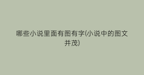 哪些小说里面有图有字(小说中的图文并茂)