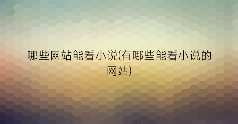 哪些网站能看小说(有哪些能看小说的网站)
