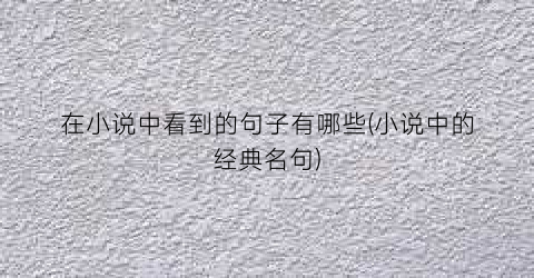 在小说中看到的句子有哪些(小说中的经典名句)