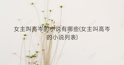 女主叫高岑的小说有哪些(女主叫高岑的小说列表)