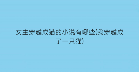 女主穿越成猫的小说有哪些(我穿越成了一只猫)