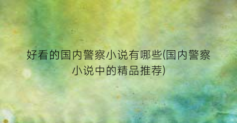 好看的国内警察小说有哪些(国内警察小说中的精品推荐)