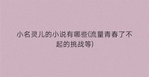 小名灵儿的小说有哪些(流量青春了不起的挑战等)