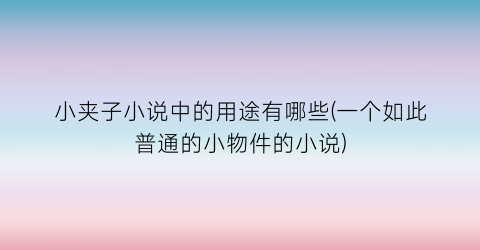 小夹子小说中的用途有哪些(一个如此普通的小物件的小说)