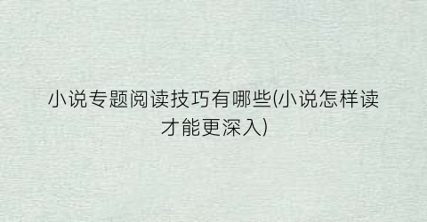 小说专题阅读技巧有哪些(小说怎样读才能更深入)