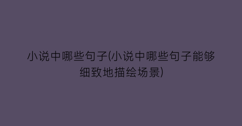 小说中哪些句子(小说中哪些句子能够细致地描绘场景)
