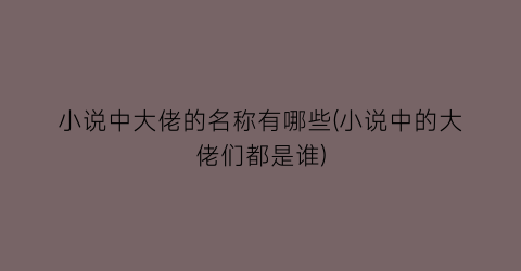 小说中大佬的名称有哪些(小说中的大佬们都是谁)