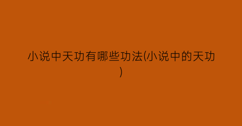 小说中天功有哪些功法(小说中的天功)