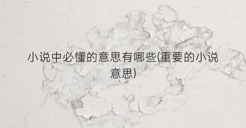 小说中必懂的意思有哪些(重要的小说意思)