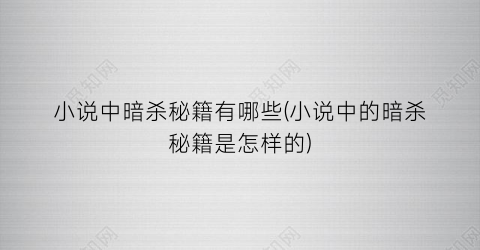 小说中暗杀秘籍有哪些(小说中的暗杀秘籍是怎样的)