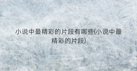 小说中最精彩的片段有哪些(小说中最精彩的片段)