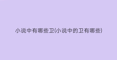 小说中有哪些卫(小说中的卫有哪些)